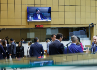 Leis de SP ampliam inclusão de alunos com TEA e autorizam sepultamento de pets em jazigos familiares