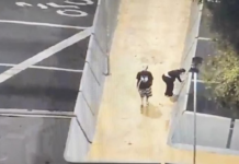 Videomonitoramento da GCM flagra pichação em passarela no Centro de São Bernardo