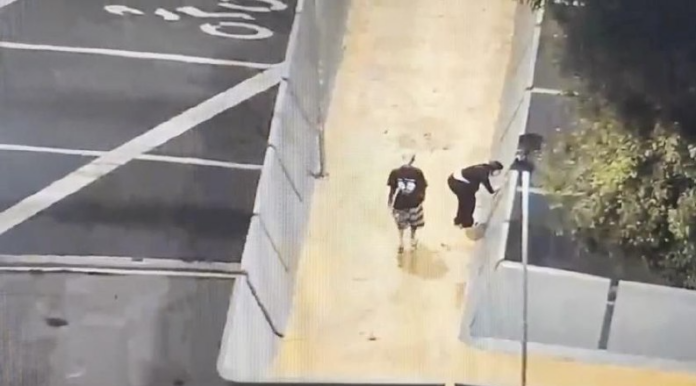 Captura de tela 2026-02-22 130019