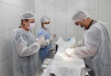 Programa Castra Mais SP chega a Ribeirão Pires com mutirão especial de Carnaval