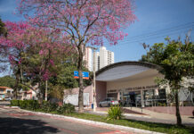 São Caetano realiza prevenção e conscientização sobre o câncer de colo de útero no Março Lilás