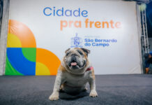 Após requalificação, Hospital Veterinário de São Bernardo irá funcionar 24 horas