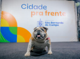 Após requalificação, Hospital Veterinário de São Bernardo irá funcionar 24 horas