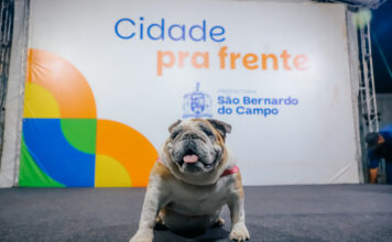 Após requalificação, Hospital Veterinário de São Bernardo irá funcionar 24 horas