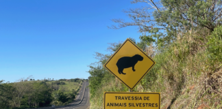 DER-SP alerta para animais na pista durante período de férias