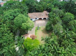Roda de Reiki – Mãos que Curam acontece neste domingo (8) em Ribeirão Pires