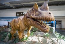 Sabina comemora 19 anos com programação especial de aniversário