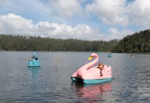 Pedalinhos voltam a ser atração no Parque Oriental de Ribeirão Pires neste feriado de Carnaval