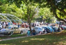 Bosque do Povo, em São Caetano, recebe exposição de carros antigos