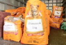 Santo André recebe edição mensal do Moeda Pet no Parque Central