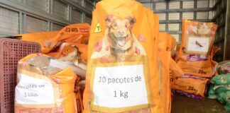 Santo André recebe edição mensal do Moeda Pet no Parque Central