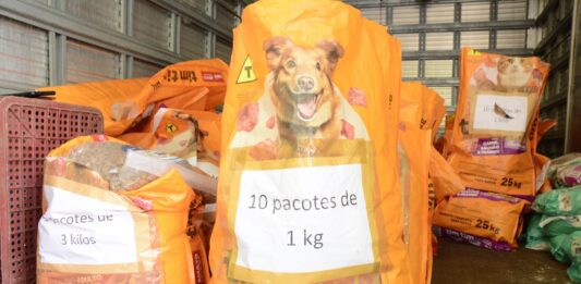 Santo André recebe edição mensal do Moeda Pet no Parque Central