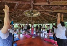 Mãos que Curam promove manhã de Yoga e Reiki no Parque Profº Luiz Carlos Grecco neste domingo (15)