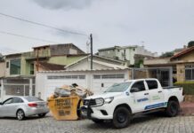 Santo André amplia fiscalização e reforça combate ao corte ilegal de árvores