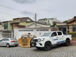 Santo André amplia fiscalização e reforça combate ao corte ilegal de árvores