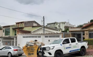 Santo André amplia fiscalização e reforça combate ao corte ilegal de árvores