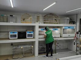 Doação de equipamentos reforça trabalho do Zoológico de São Bernardo