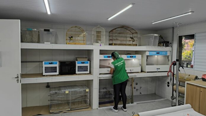 WhatsApp Image 2026-03-22 at 17.10.18