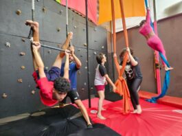 “Circo no Parque” celebra aniversário de Ribeirão Pires com espetáculo gratuito neste sábado (14)