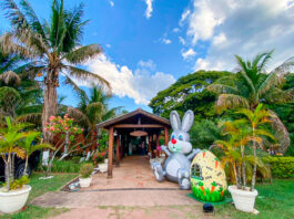 Ainda dá tempo de curtir o feriadão de Páscoa em Brotas com programa de lazer para toda a família