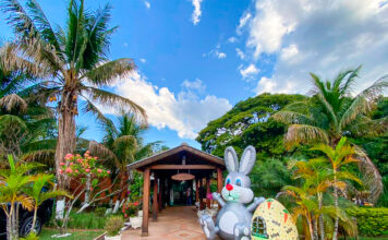 Ainda dá tempo de curtir o feriadão de Páscoa em Brotas com programa de lazer para toda a família