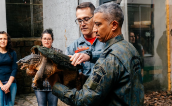 São Bernardo promove curso de formação no Zoo para manejo seguro e eficiente de animais silvestres
