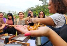 Ribeirão Pires promove alinhamento sobre educação ambiental com coordenadoras da rede infantil