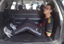 Patrulha da GCM captura foragido da Justiça