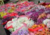 Mercado de Flores da Craisa oferece diversas opções para presentear no Dia das Mães