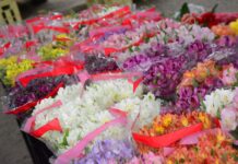 Mercado de Flores da Craisa oferece diversas opções para presentear no Dia das Mães