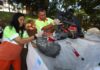 Parque Central recebe edição de maio do Moeda Pet neste sábado
