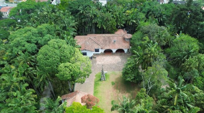 Parque Criativo transforma domingo em celebração da arte, cultura e gastronomia no Pastoril no próximo dia 17