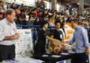 Diadema realiza Feirão de Empregos com quase 10 mil vagas nesta quinta-feira