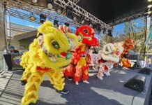 Entrada solidária une cultura e apoio social no Festival Oriental de Ribeirão Pires