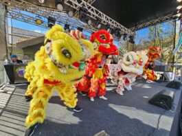Entrada solidária une cultura e apoio social no Festival Oriental de Ribeirão Pires