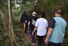 Junho Verde tem programação com quase 80 atrações em Santo André