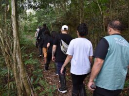 Junho Verde tem programação com quase 80 atrações em Santo André