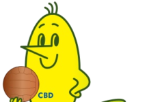 A Copa goela abaixo