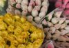 Craisa conta com diversas opções de flores para presentear no Dia dos Namorados