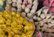 Craisa conta com diversas opções de flores para presentear no Dia dos Namorados