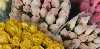Craisa conta com diversas opções de flores para presentear no Dia dos Namorados