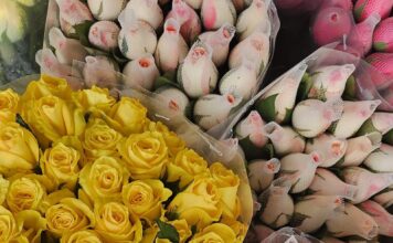 Craisa conta com diversas opções de flores para presentear no Dia dos Namorados
