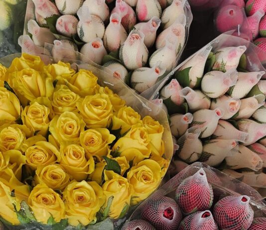 Craisa conta com diversas opções de flores para presentear no Dia dos Namorados