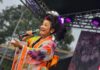 Festival Oriental de Ribeirão Pires movimenta 15 mil pessoas em dois dias atrações