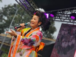 Festival Oriental de Ribeirão Pires movimenta 15 mil pessoas em dois dias atrações
