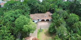 Feira Mística reúne terapias, espiritualidade e produtos esotéricos no Jardim dos Elementos no próximo dia 20