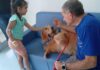 Hospital de Urgência de São Bernardo recebe visita de cães terapeutas