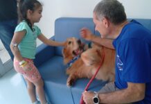 Hospital de Urgência de São Bernardo recebe visita de cães terapeutas