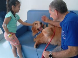 Hospital de Urgência de São Bernardo recebe visita de cães terapeutas
