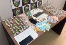 Operação da GCM de Santo André na Chácara da Baronesa prende dois por trafico de drogas